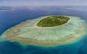 Туры в отель Furaveri Maldives