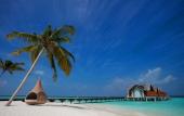 Туры в отель Furaveri Maldives