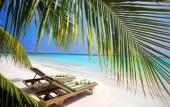 Туры в отель Furaveri Maldives