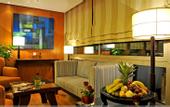 Туры в отель Holiday Inn Cairo Citystars
