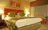 Туры в отель Holiday Inn Cairo Citystars