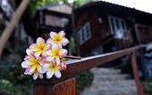 Туры в отель Sangthian Beach Resort