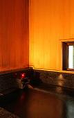 Туры в отель Kanbayashi Hotel Senjukaku