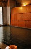 Туры в отель Kanbayashi Hotel Senjukaku