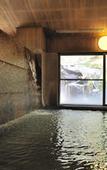 Туры в отель Kanbayashi Hotel Senjukaku