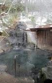 Туры в отель Kanbayashi Hotel Senjukaku