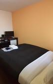 Туры в отель Osaka Ebisu Hotel