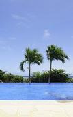 Туры в отель Allamanda Imgya Coral Village