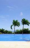 Туры в отель Allamanda Imgya Coral Village