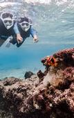 Туры в отель Allamanda Imgya Coral Village
