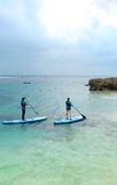Туры в отель Allamanda Imgya Coral Village