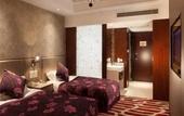 Туры в отель MERCURE NANJING DOWNTOWN