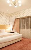Туры в отель Hotel Francs