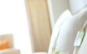 Туры в отель Holiday Inn Central Plaza Beijing