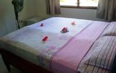 Туры в отель Petra's Guest House