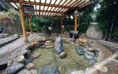 Туры в отель Riyuegu Hot Springs Hotel