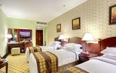 Туры в отель Town View Hotel