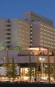 Туры в отель Sendai Kokusai Hotel