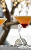 Туры в отель The Prime Energize Hotel & Spa