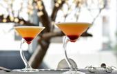 Туры в отель The Prime Energize Hotel & Spa