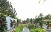 Туры в отель Petunia Ibiza, a Beaumier Hotel