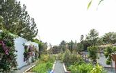 Туры в отель Petunia Ibiza, a Beaumier Hotel