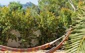 Туры в отель Petunia Ibiza, a Beaumier Hotel