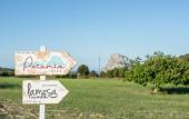 Туры в отель Petunia Ibiza, a Beaumier Hotel