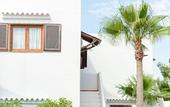Туры в отель Petunia Ibiza, a Beaumier Hotel