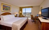 Туры в отель Holiday Inn Civic Center