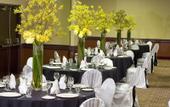 Туры в отель Holiday Inn Civic Center