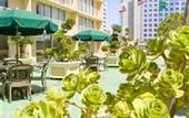Туры в отель Holiday Inn Civic Center