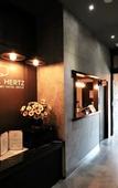 Туры в отель HERTZ Hotel