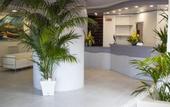 Туры в отель Hotel Blumarea, BW Signature Collection