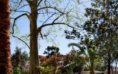 Туры в отель Villa Elisio Hotel & Spa