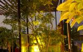 Туры в отель Himalaya Cloud Hotel