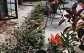Туры в отель Hotel Quinta Ladera