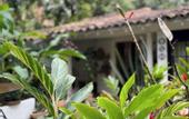 Туры в отель Hotel Quinta Ladera