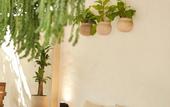 Туры в отель Hotel Quinta Ladera