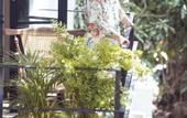 Туры в отель Hotel Quinta Ladera