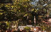 Туры в отель Hotel Quinta Ladera