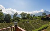 Туры в отель Mount Batur Villa