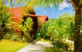 Туры в отель Druwa Bali