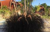 Туры в отель Druwa Bali