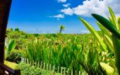 Туры в отель Druwa Bali