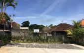 Туры в отель Druwa Bali