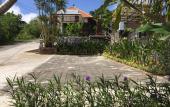 Туры в отель Druwa Bali
