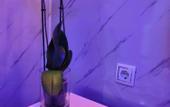Туры в отель Hotel Aviacion