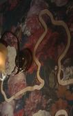 Туры в отель BnA_WALL