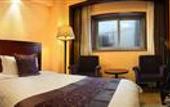 Туры в отель Holiday Inn Downtown Shanghai